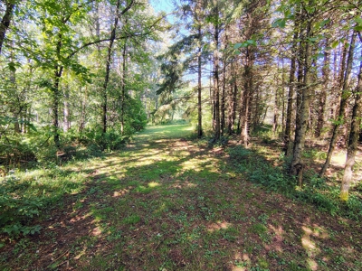 Home with Acreage for Sale in Glidden, Wisconsin - image 10