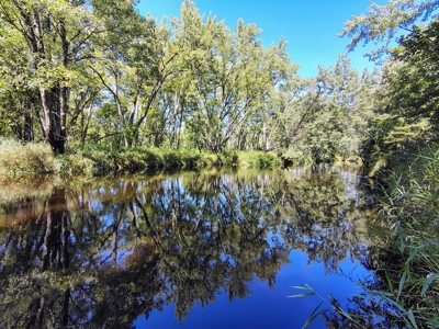 Home with Acreage for Sale in Glidden, Wisconsin - image 21