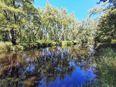 Home with Acreage for Sale in Glidden, Wisconsin - image 12