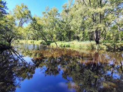 Home with Acreage for Sale in Glidden, Wisconsin - image 13
