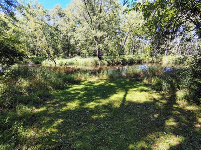 Home with Acreage for Sale in Glidden, Wisconsin - image 2