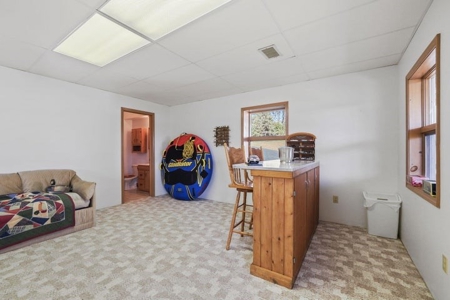 Home with Waterfront Access Lake Fifteen for Sale Atlanta MI - image 40