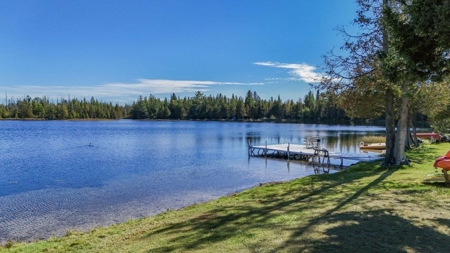 Home with Waterfront Access Lake Fifteen for Sale Atlanta MI - image 6