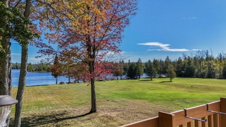Home with Waterfront Access Lake Fifteen for Sale Atlanta MI - image 11