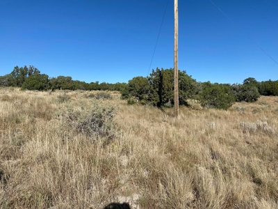 141-Acre Ranch Property with Manzano Mountain Views - image 6