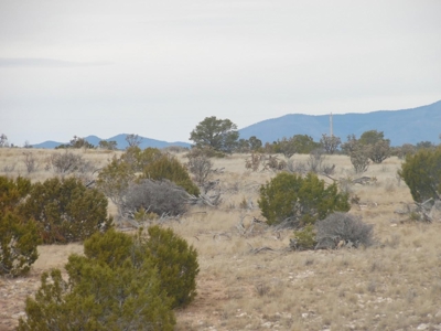 141-Acre Ranch Property with Manzano Mountain Views - image 2