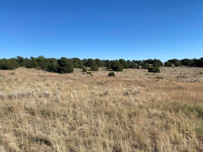 141-Acre Ranch Property with Manzano Mountain Views - image 7