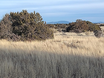 141-Acre Ranch Property with Manzano Mountain Views - image 3