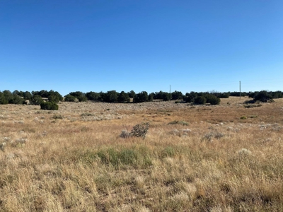 141-Acre Ranch Property with Manzano Mountain Views - image 8