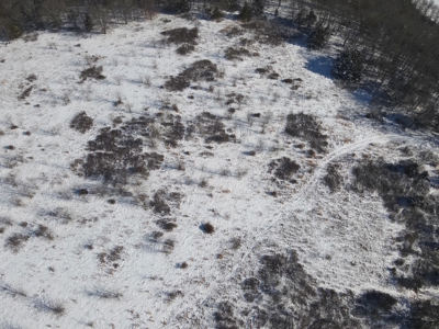 Cattle Farm with Hunting Opportunities in Dixon, MO - image 43