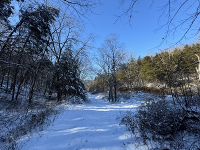 Cattle Farm with Hunting Opportunities in Dixon, MO - image 21