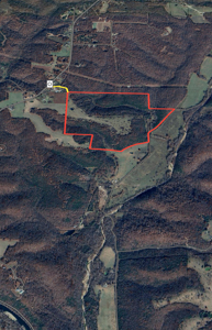Cattle Farm with Hunting Opportunities in Dixon, MO - image 50