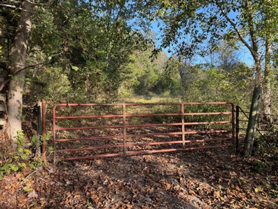 Cattle Farm with Hunting Opportunities in Dixon, MO - image 17
