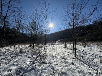 Cattle Farm with Hunting Opportunities in Dixon, MO - image 31