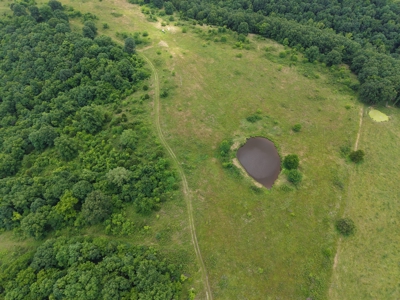Cattle Farm with Hunting Opportunities in Dixon, MO - image 46