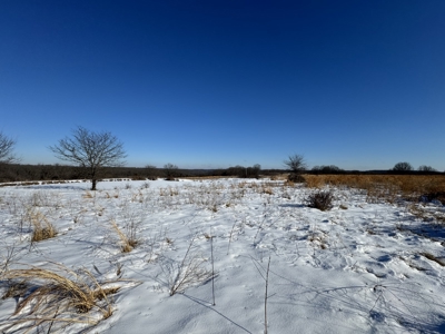 Cattle Farm with Hunting Opportunities in Dixon, MO - image 24