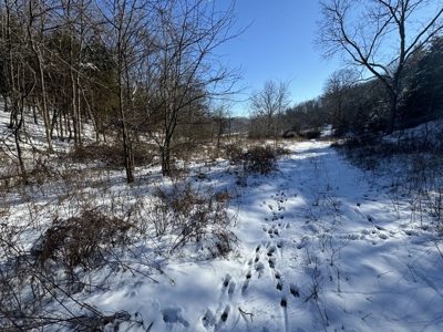 Cattle Farm with Hunting Opportunities in Dixon, MO - image 18