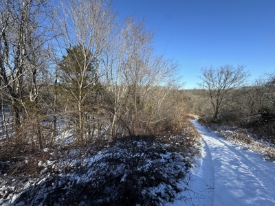 Cattle Farm with Hunting Opportunities in Dixon, MO - image 25