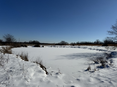 Cattle Farm with Hunting Opportunities in Dixon, MO - image 23