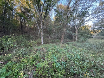 Cattle Farm with Hunting Opportunities in Dixon, MO - image 3