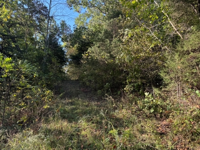 Cattle Farm with Hunting Opportunities in Dixon, MO - image 16