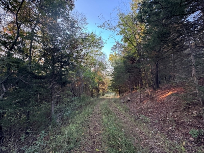 Cattle Farm with Hunting Opportunities in Dixon, MO - image 2