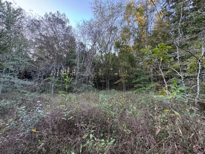 Cattle Farm with Hunting Opportunities in Dixon, MO - image 5