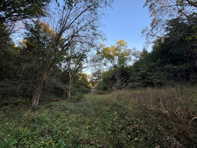 Cattle Farm with Hunting Opportunities in Dixon, MO - image 4