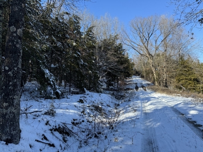 Cattle Farm with Hunting Opportunities in Dixon, MO - image 19