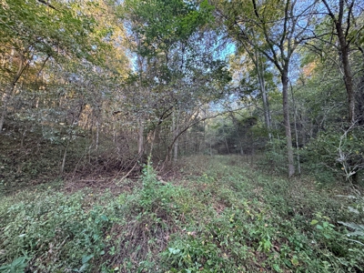Cattle Farm with Hunting Opportunities in Dixon, MO - image 11