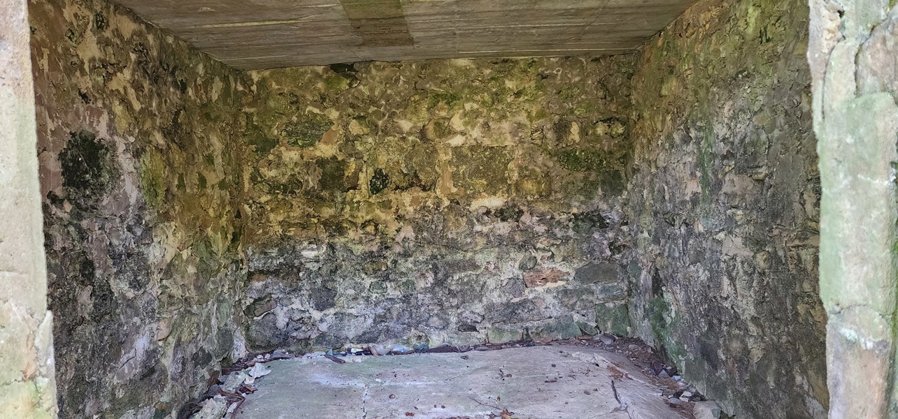 Root Cellar