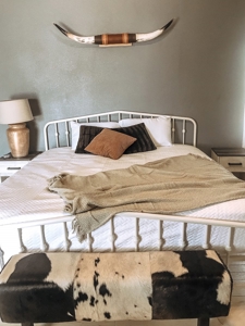 201 S Water Fort Stockton, Tx Airbnb For Sale - image 6