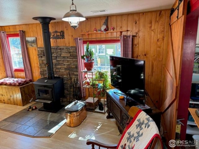 Colorado Cabin Red Feather Lakes - image 16