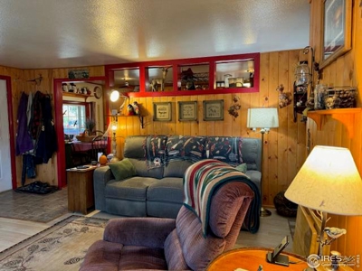 Colorado Cabin Red Feather Lakes - image 14