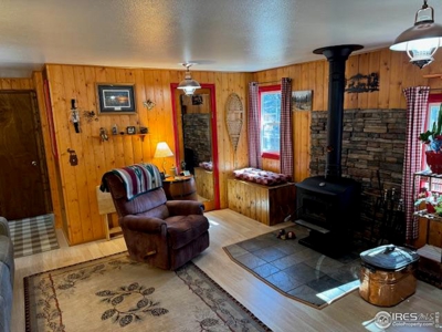 Colorado Cabin Red Feather Lakes - image 17