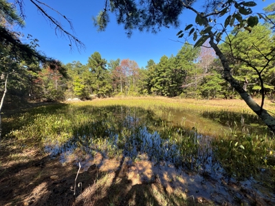 Country Retreat For Sale in Arkansas Ozarks - image 30