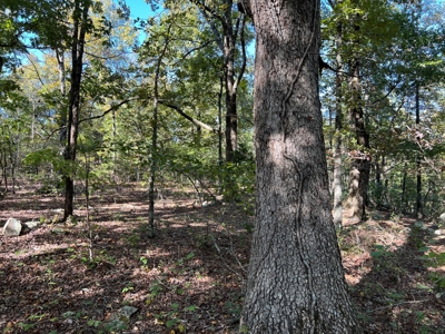 Country Retreat For Sale in Arkansas Ozarks - image 33