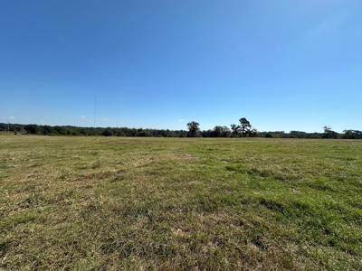 East Texas Ranch For Sale - image 4