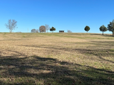 East Texas Ranch For Sale - image 25