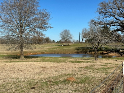 East Texas Ranch For Sale - image 16