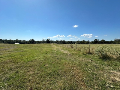 East Texas Ranch For Sale - image 8