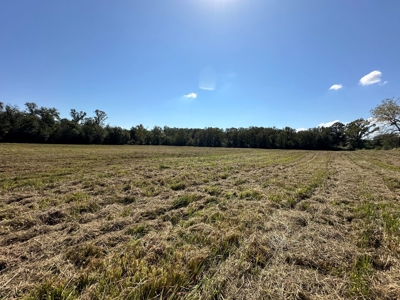 East Texas Ranch For Sale - image 15