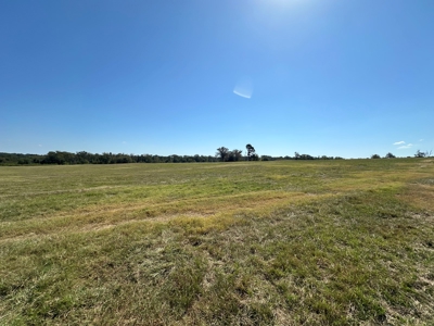 East Texas Ranch For Sale - image 2