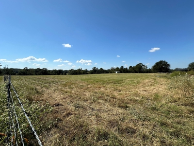 East Texas Ranch For Sale - image 6