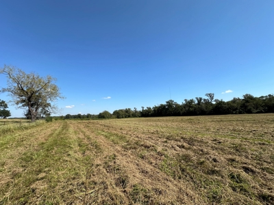 East Texas Ranch For Sale - image 13