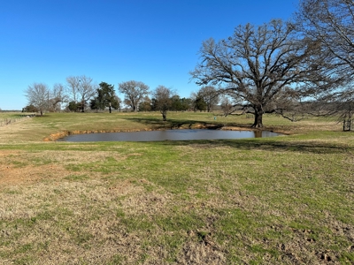 East Texas Ranch For Sale - image 18