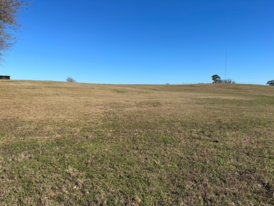 East Texas Ranch For Sale - image 26