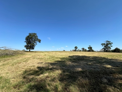 East Texas Ranch For Sale - image 11