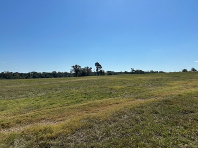 East Texas Ranch For Sale - image 3