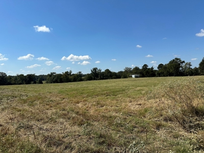 East Texas Ranch For Sale - image 5